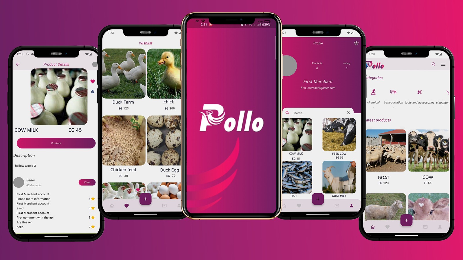 pollo Mobile App